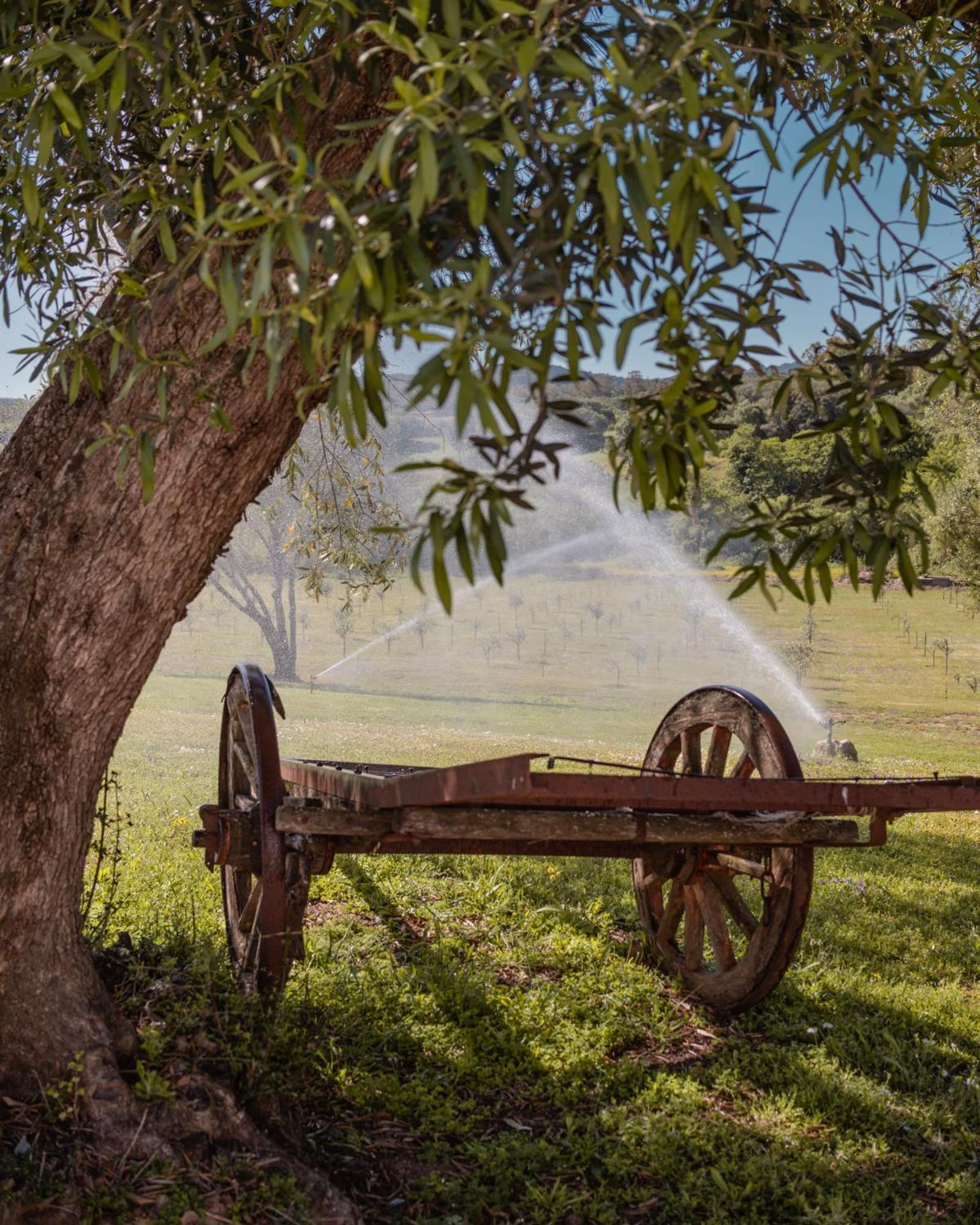 Uddastri Retreat Arzachena Εξωτερικό φωτογραφία