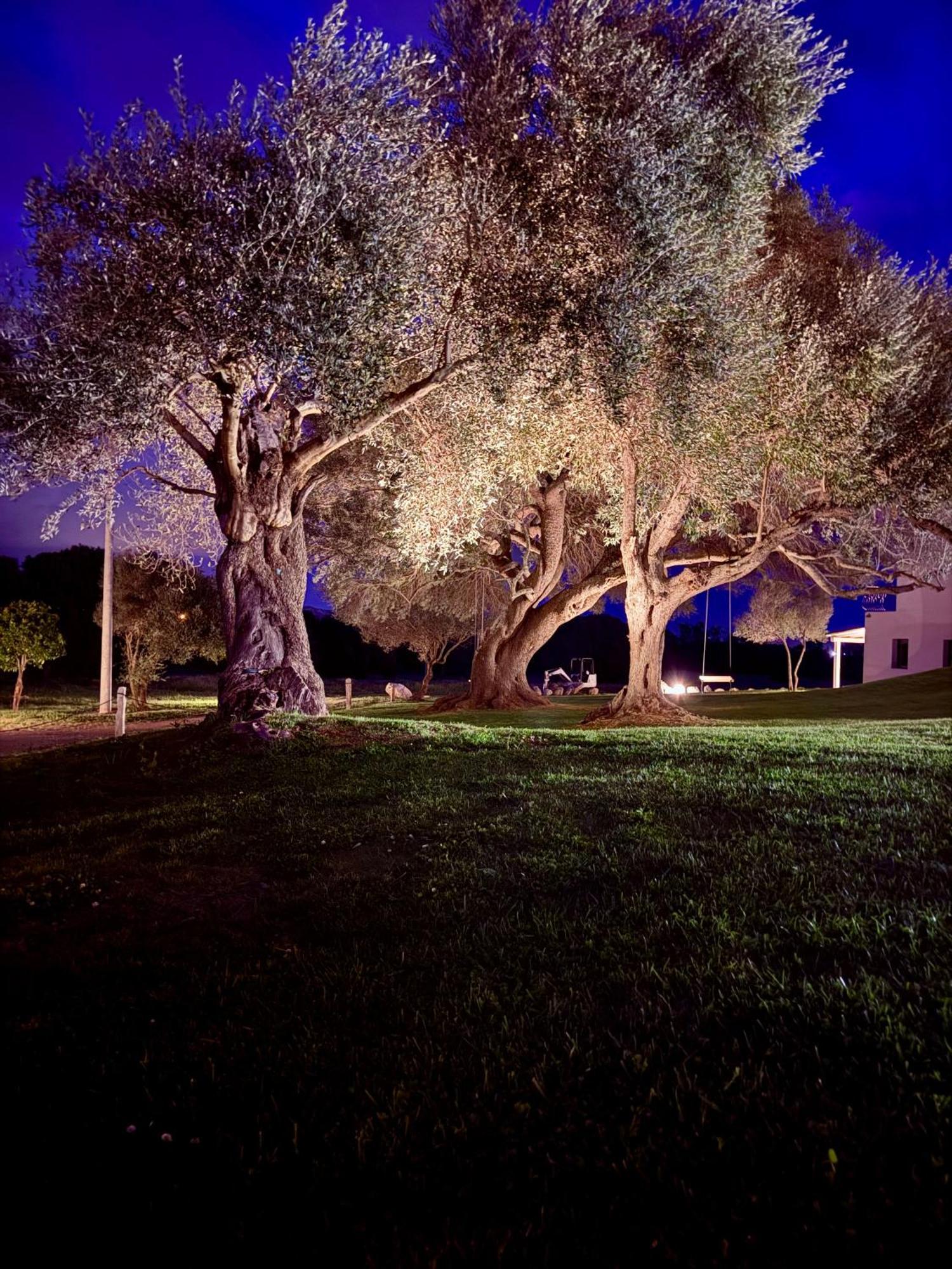 Uddastri Retreat Arzachena Εξωτερικό φωτογραφία